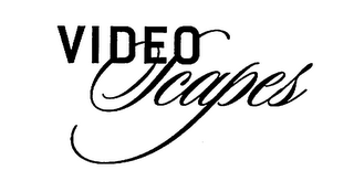 VIDEOSCAPES