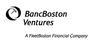 BANCBOSTON VENTURES A FLEETBOSTON FINANCIAL COMPANY