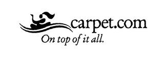 CARPET.COM ON TOP OF IT ALL.