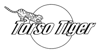 TORSO TIGER