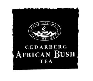 CEDARBERG AFRICAN BUSH TEA