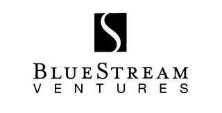 BLUESTREAM VENTURES