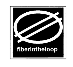 FIBERINTHELOOP