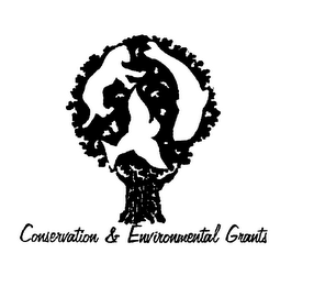 CONSERVATION & ENVIRONMENTAL GRANTS