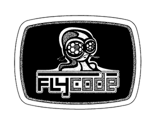 FLYCODE