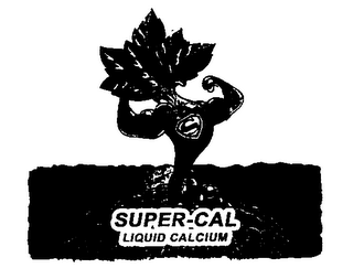 S SUPER-CAL LIQUID CALCIUM