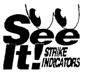 SEE IT! STRIKE INDICATORS