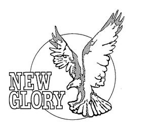 NEW GLORY