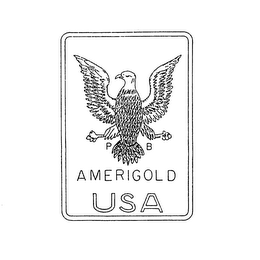 P B AMERIGOLD USA