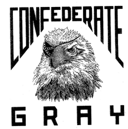 CONFEDERATE GRAY