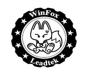 WINFOX LEADTEK