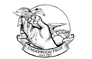 UNDERWOOD FRUIT SINCE 1963