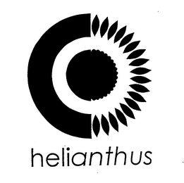 HELIANTHUS