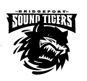 BRIDGEPORT SOUND TIGERS