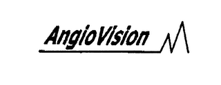 ANGIOVISION