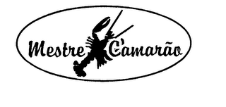 MESTRE CAMARAO