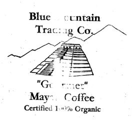 BLUE MOUNTAIN TRADING CO. "GOURMET" MAYAN COFFEES CERTIFIED 100% ORGANIC
