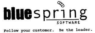 BLUESPRING SOFTWARE FOLLOW YOUR CUSTOMER. BE THE LEADER.