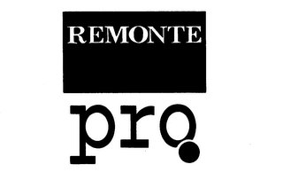 REMONTE PRO