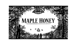 MAPLE HONEY LB MAPLE TREAT INC.