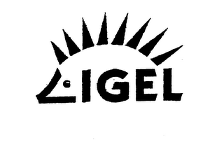 IGEL