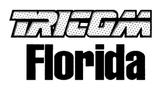 TRICOM FLORIDA