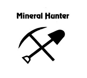 MINERAL HUNTER