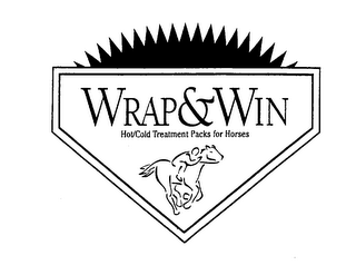 WRAP&WIN HOT/COLD TREATMENT PACKS FOR HORSES