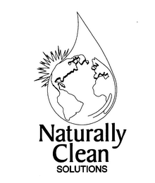 NATURALLY CLEAN SOLUTIONS