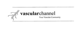 VASCULARCHANNEL YOUR VASCULAR COMMUNITY