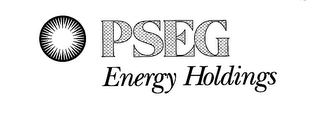 PSEG ENERGY HOLDINGS