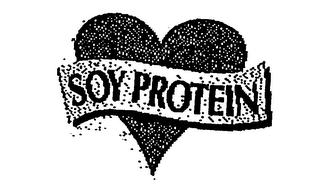 SOY PROTEIN