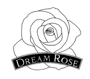 DREAM ROSE