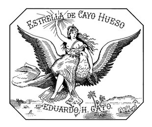 ESTRELLA DE CAYO HUESO EDUARDO H. GATO