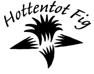 HOTTENTOT FIG