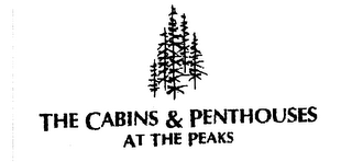 THE CABINS & PENTHOUSES AT THE PEAKS