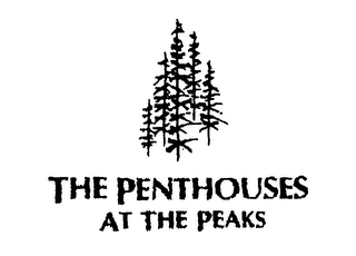 THE PENTHOUSES AT THE PEAKS