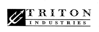 TRITON INDUSTRIES