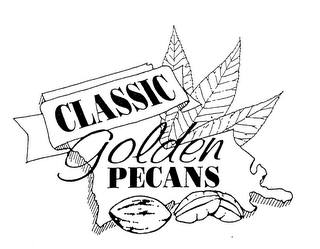 CLASSIC GOLDEN PECANS