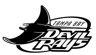 TAMPA BAY DEVIL RAYS