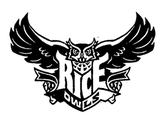 RICE OWLS