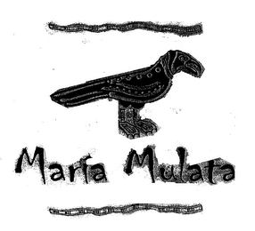 MARIA MULATA & DESIGN