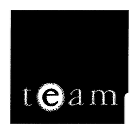 TEAM