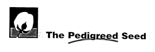 THE PEDIGREED SEED
