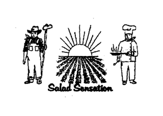 SALAD SENSATION