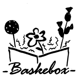 BASKEBOX