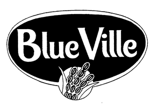 BLUE VILLE