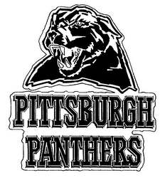 PITTSBURGH PANTHERS