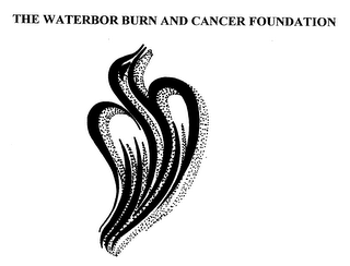 THE WATERBOR BURN AND CANCER FOUNDATION