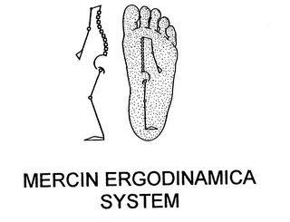 MERCIN ERGODINAMICA SYSTEM